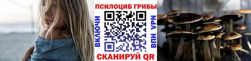 Галлюциногенные грибы мухоморы  Купить  Рудня 