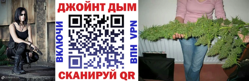 Бошки марихуана White Widow  Купить закладки  Рудня 